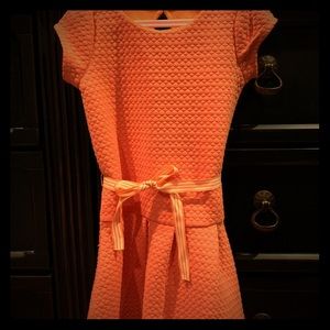 Girls Gymboree Fall dress with ribbon